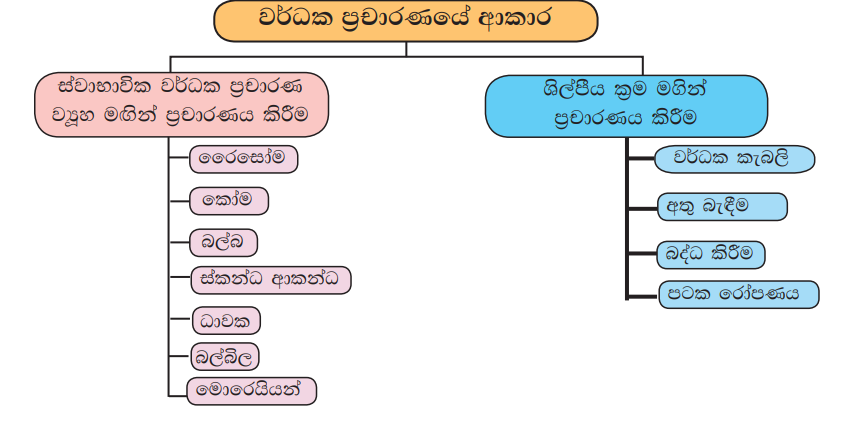 වර්ධක ප්‍රචාරනයේ ආකාර