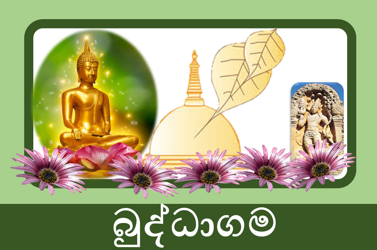 11 ශ්‍රේණිය බුද්ධාගම