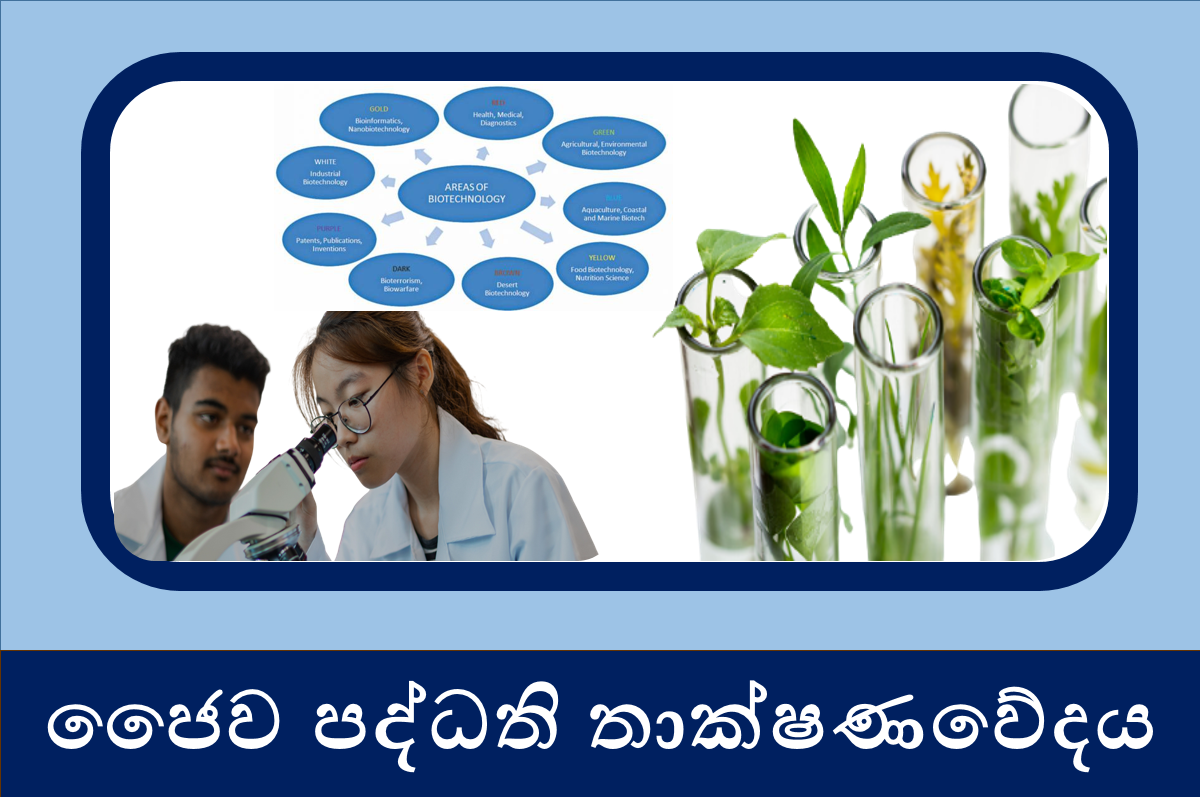 13 ජෛව පද්ධති තාක්ෂණවේදය