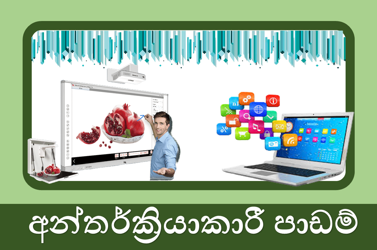 11 ශ්‍රේණිය අන්තර්ක්‍රියාකාරී පාඩම්