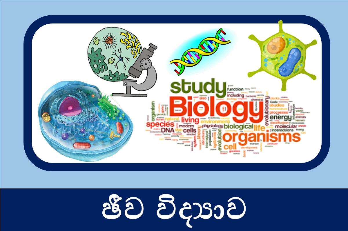 13 ශ්‍රේණිය ජීව විද්‍යාව